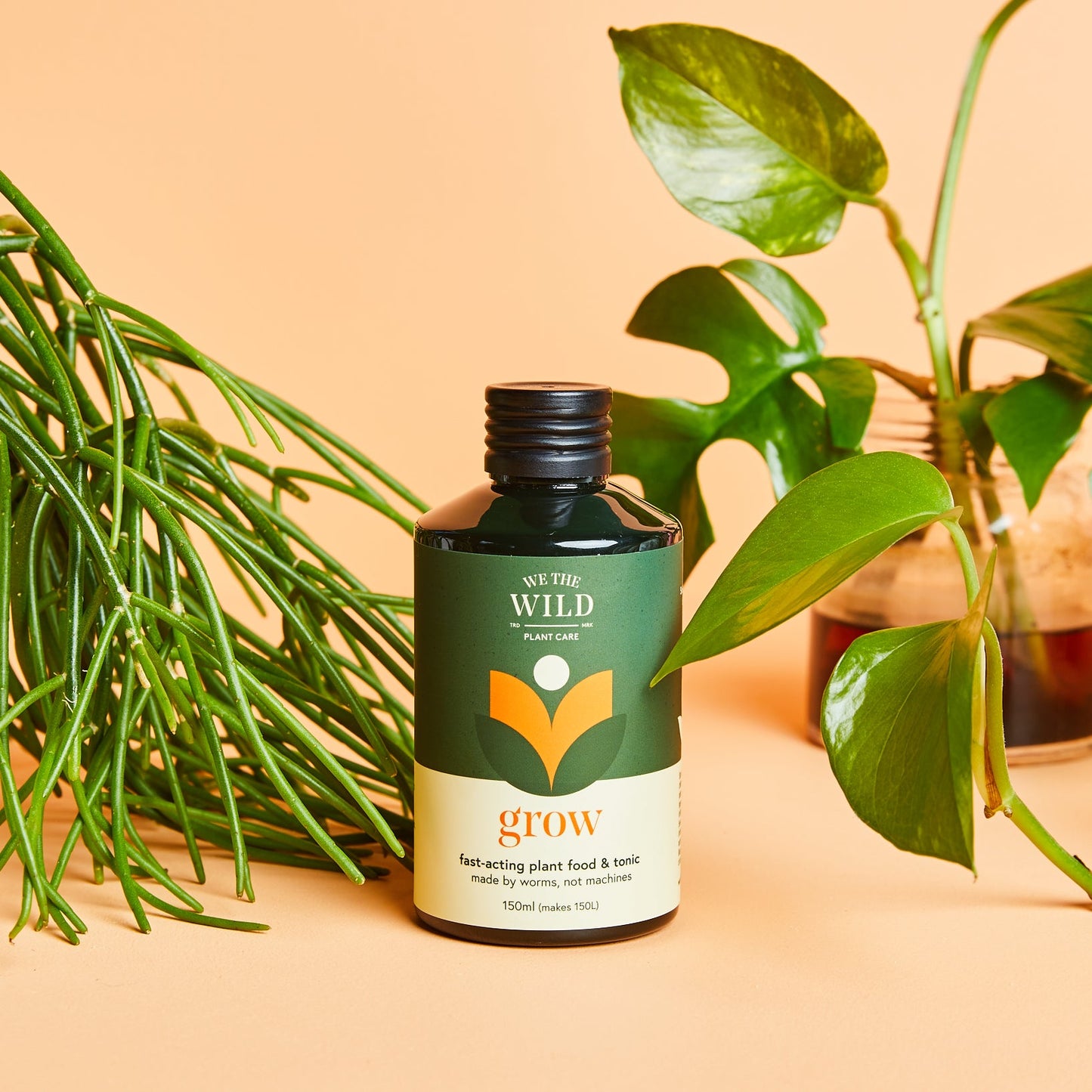 Grow fast acting plant food and tonic - Wild Pansi Grow fast acting plant food and tonic - Wild Pansi