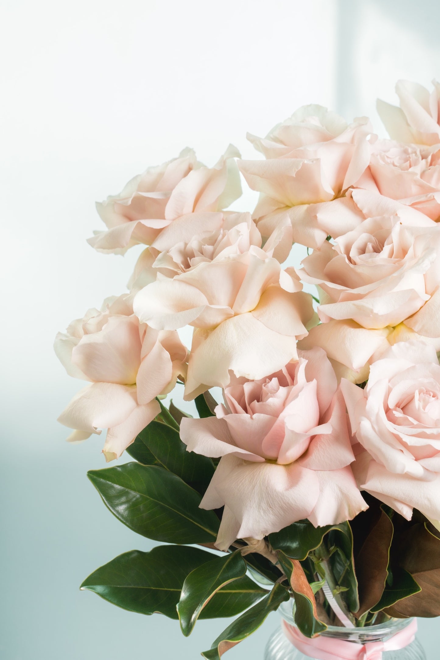 Blush Roses rose bouquet by Wild Pansi (2) Blush Roses rose bouquet by Wild Pansi (2)