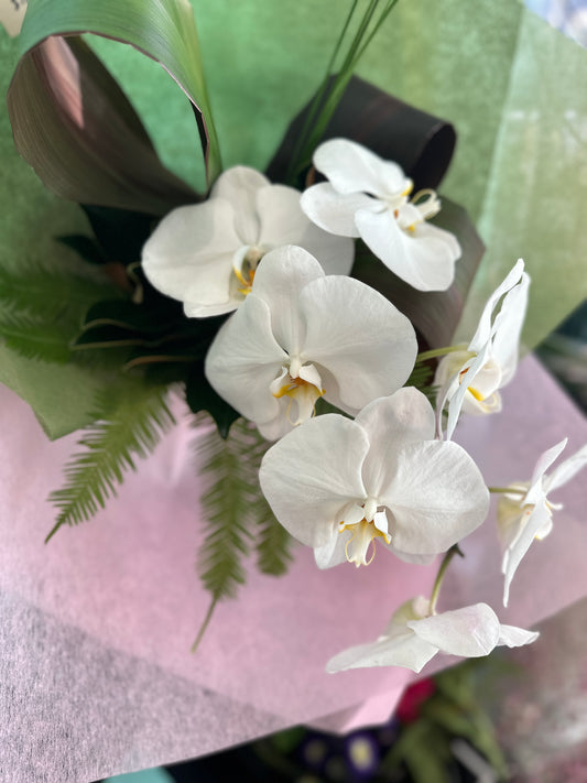 Phalaenopsis Orchid bouquet