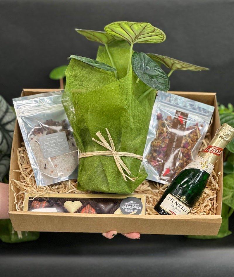 Box Full of Love - Wild Pansi