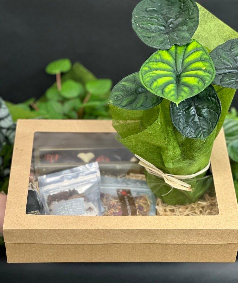Box Full of Love - Wild Pansi