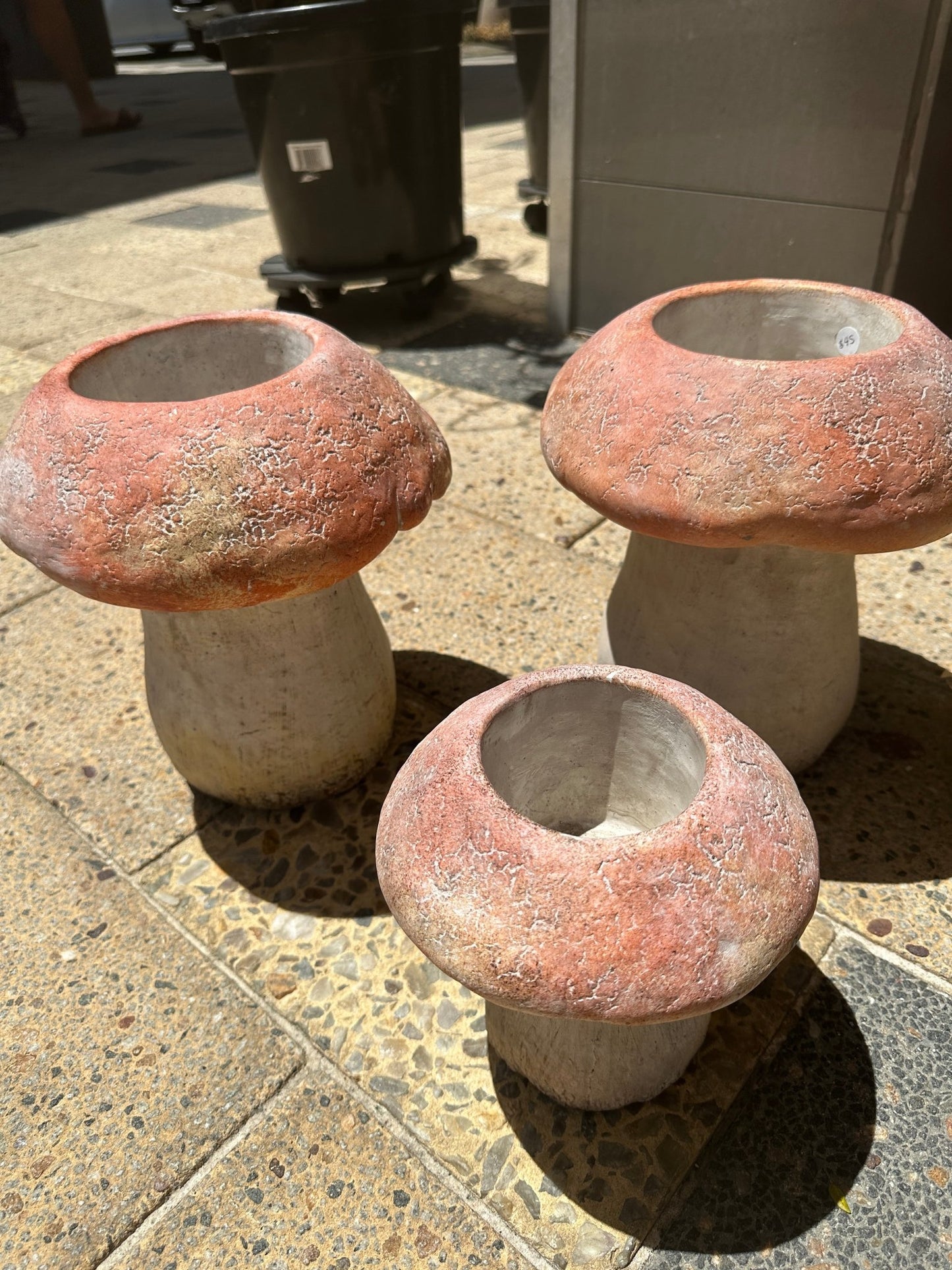 Mushroom Planter - Small - Wild Pansi Mushroom Planter - Small - Wild Pansi