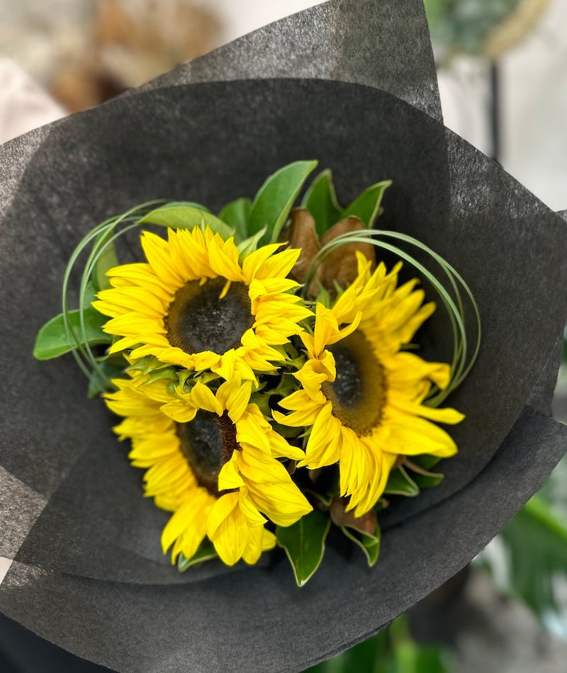 Sunny sunflowers bunch - Wild Pansi