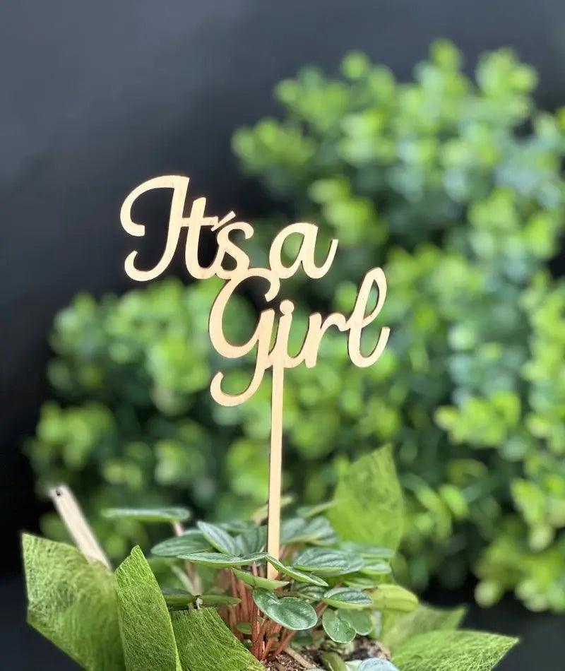 Wooden message signs - Wild Pansi Wooden message signs - Wild Pansi