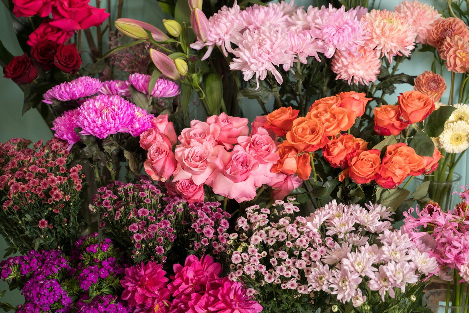 All flowers - Wild Pansi 