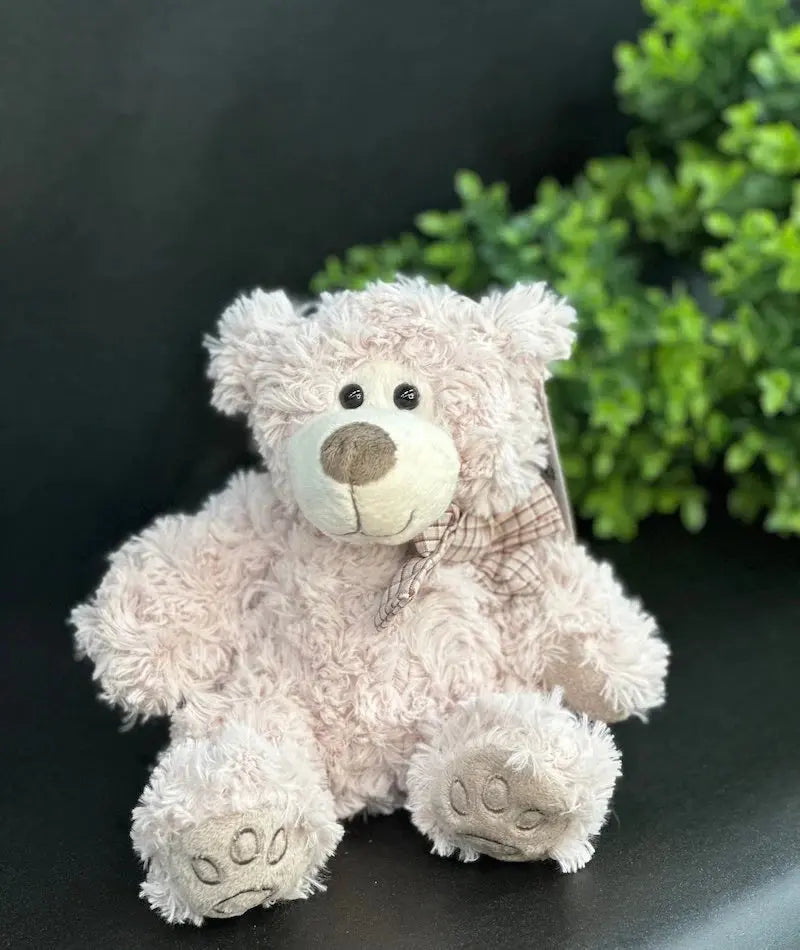 New Baby - Wild Pansi 