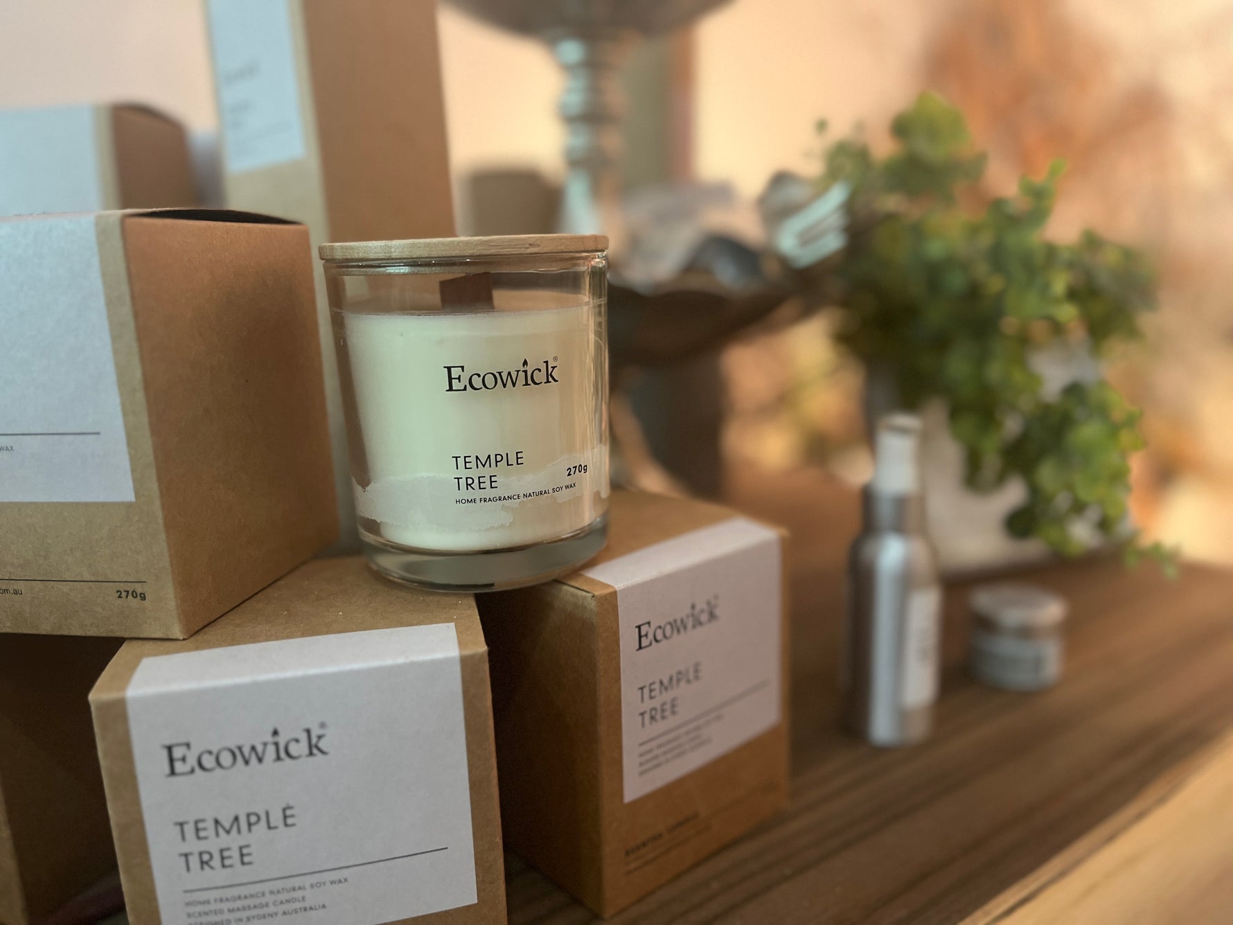 Florist Coffs Harbour Local Flower Delivery Wild Pansi Wild Pansi