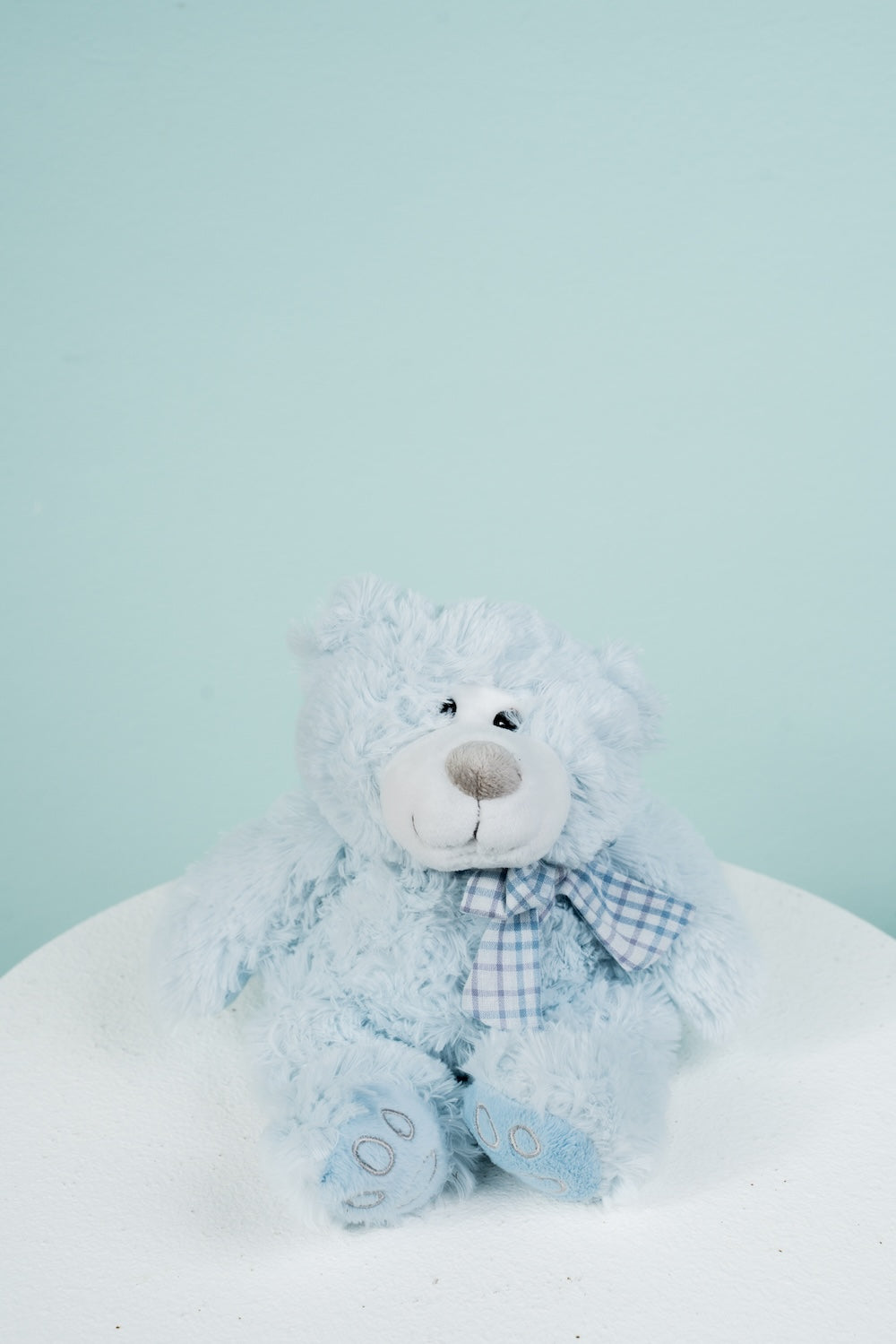 Plush Teddy Bear