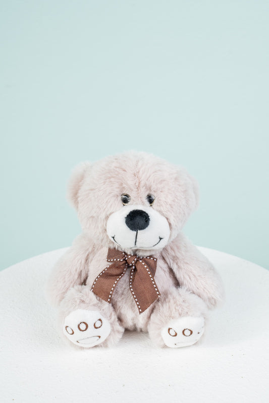 Plush Teddy Bear