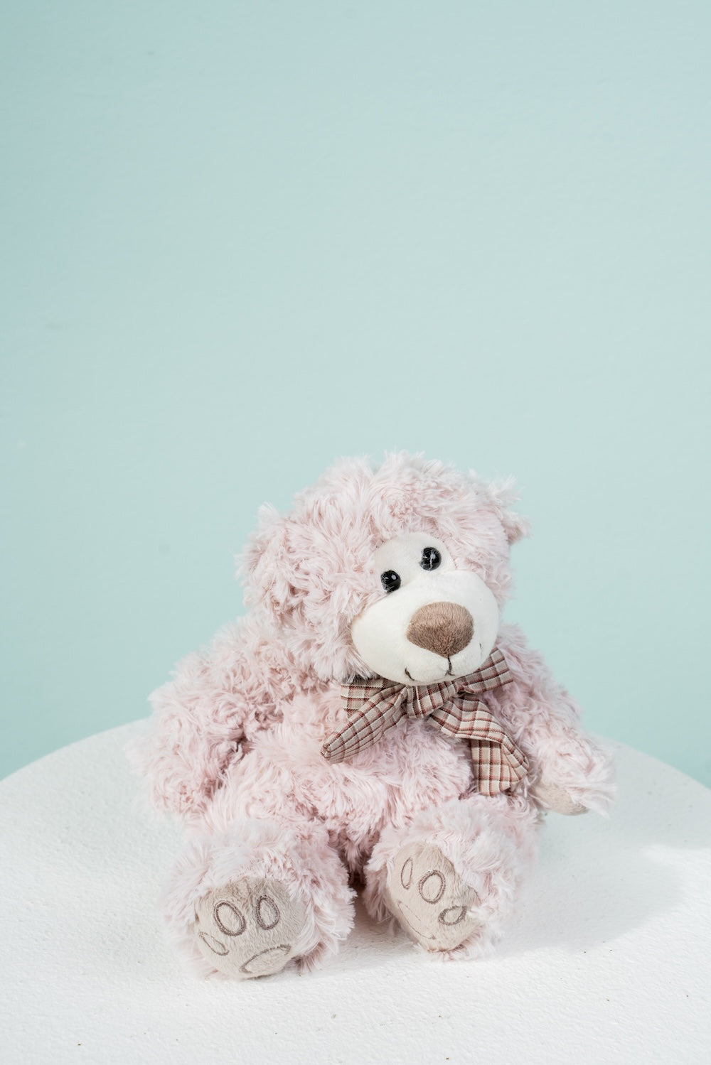 Plush Teddy Bear