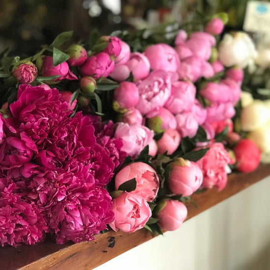 Florist Coffs Harbour Local Flower Delivery Wild Pansi Wild Pansi