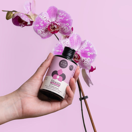 Bloom Concentrate for Orchids - Wild Pansi 