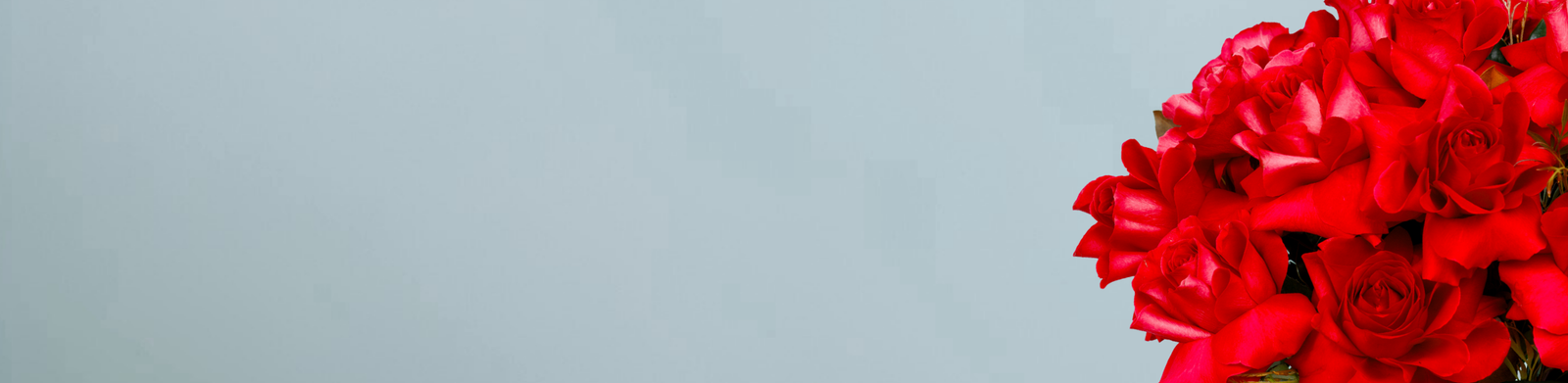 Page banner for Roses