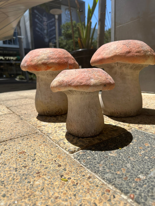 Mushroom Planter - Small - Wild Pansi