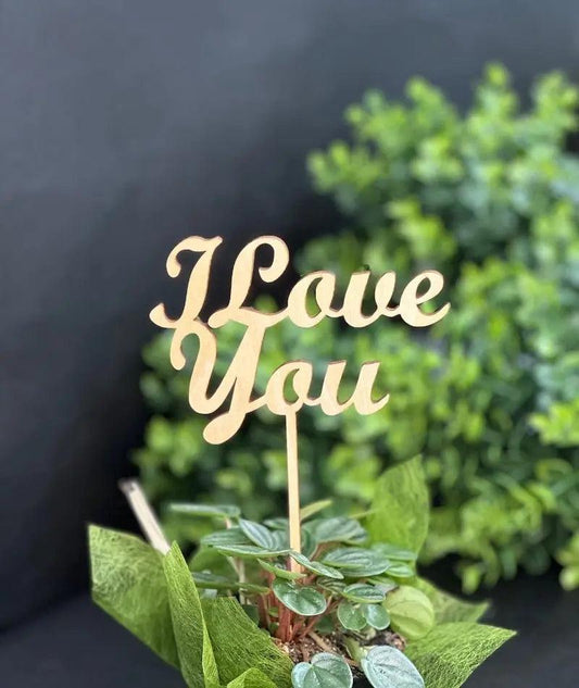 Wooden message signs - Wild Pansi 